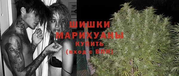 spice Беломорск