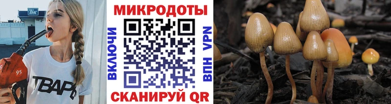 Псилоцибиновые грибы Psilocybe Ворсма